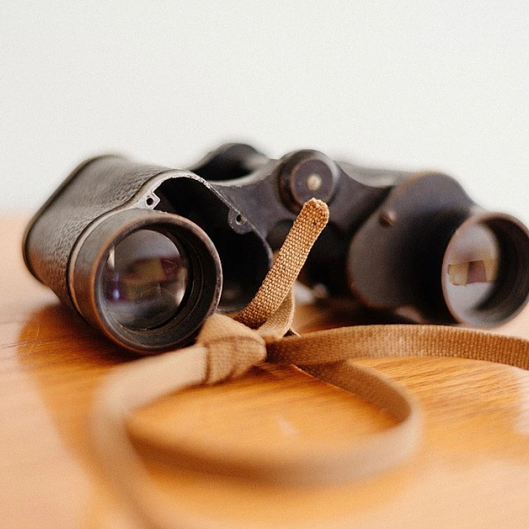 Enhancing Legal Lease Reviews with AI Prompts