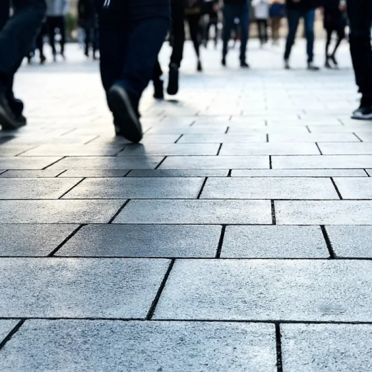 Understanding the Role of a Nonprofit Executive Director
