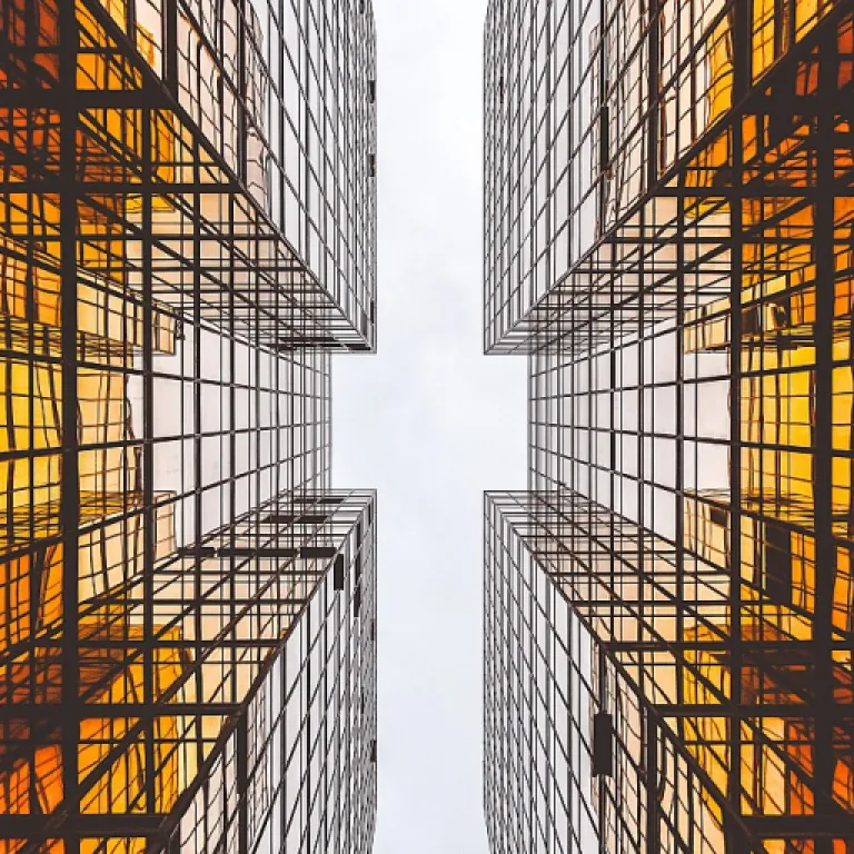 Decoding the Language of Learning Management Systems