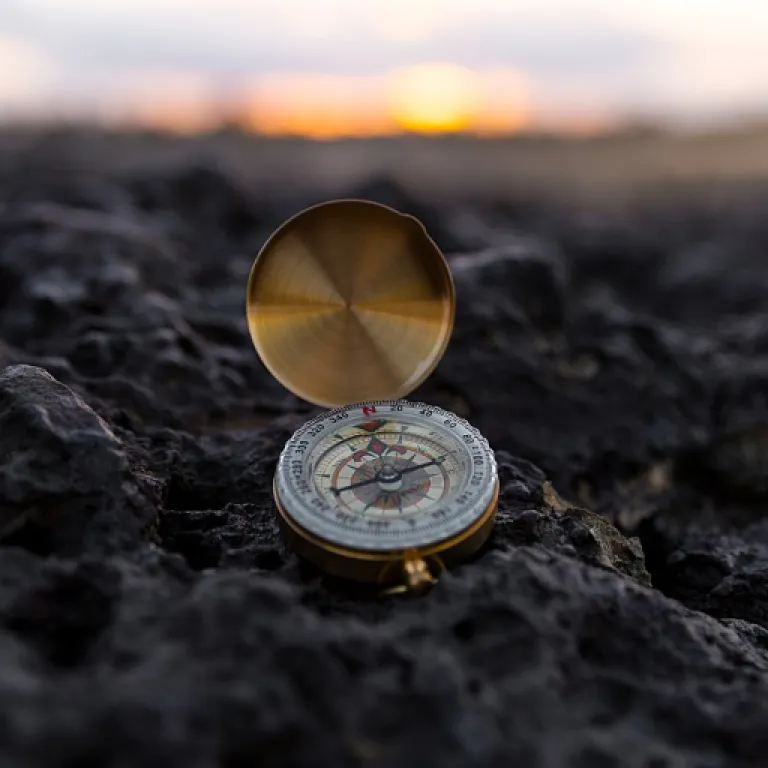 How lms reporting and analytics empower your upskilling journey