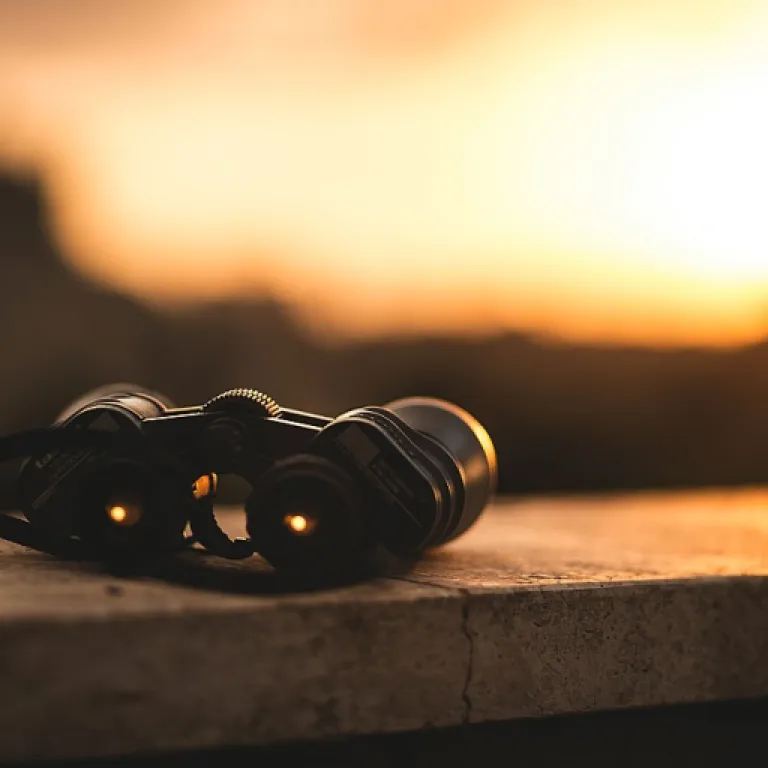 How region 10 compliance training supports your upskilling journey